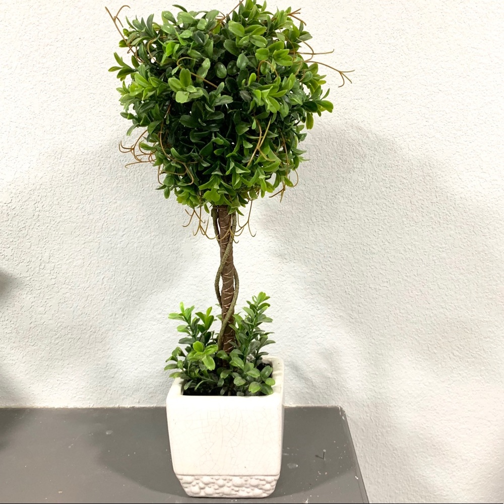 Fake plant